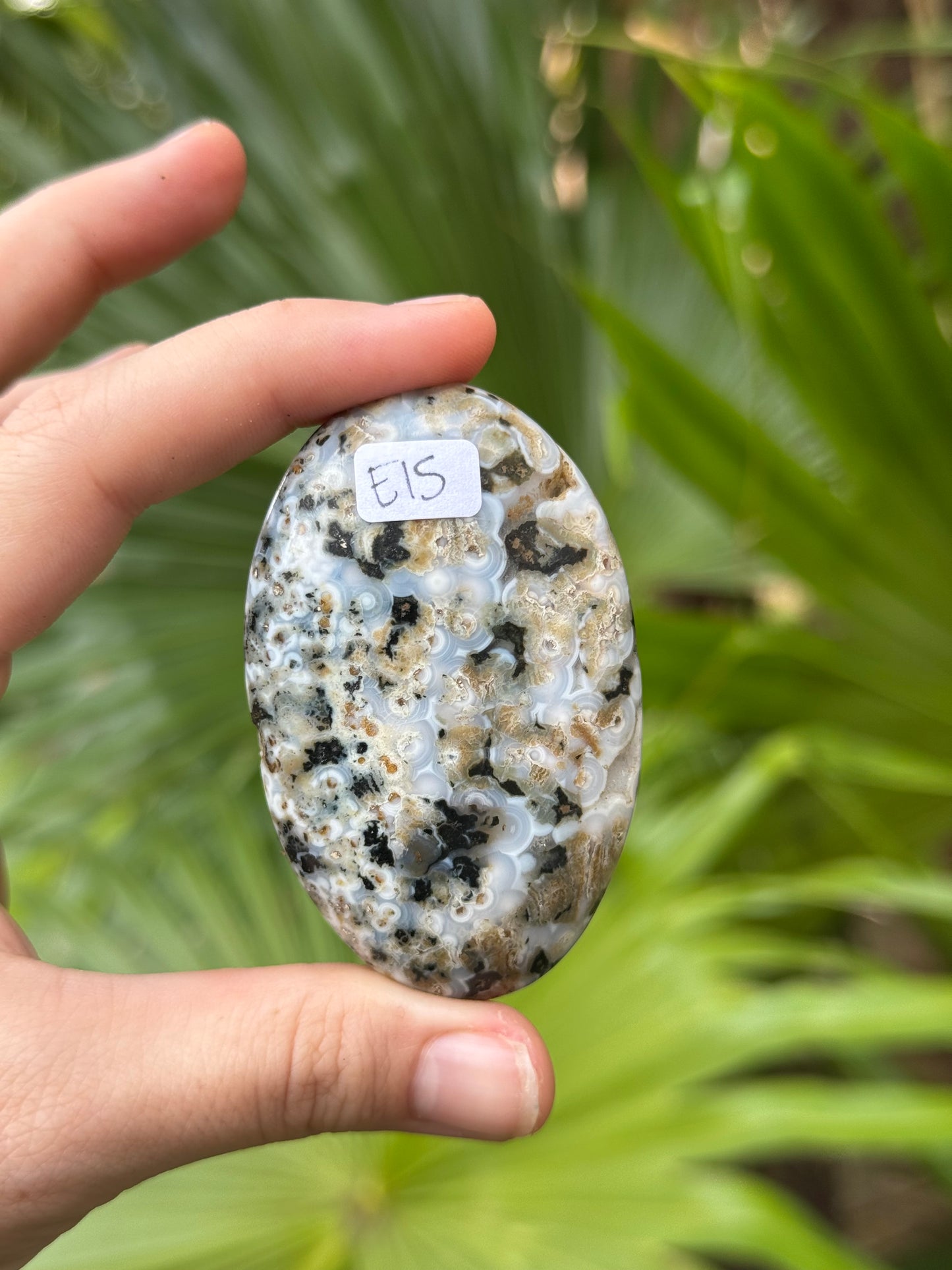 ocean jasper palmstone E