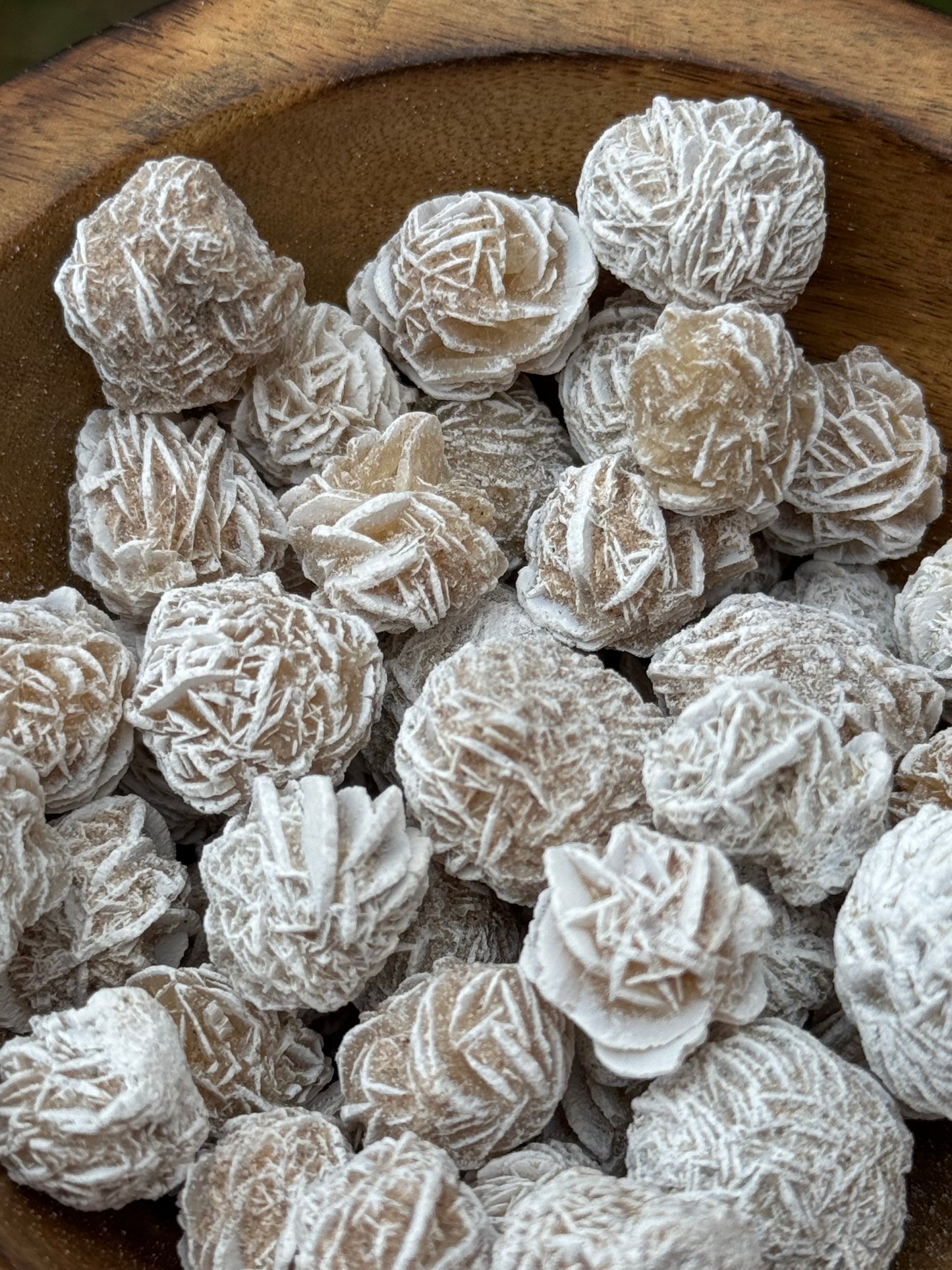 small desert rose clusters