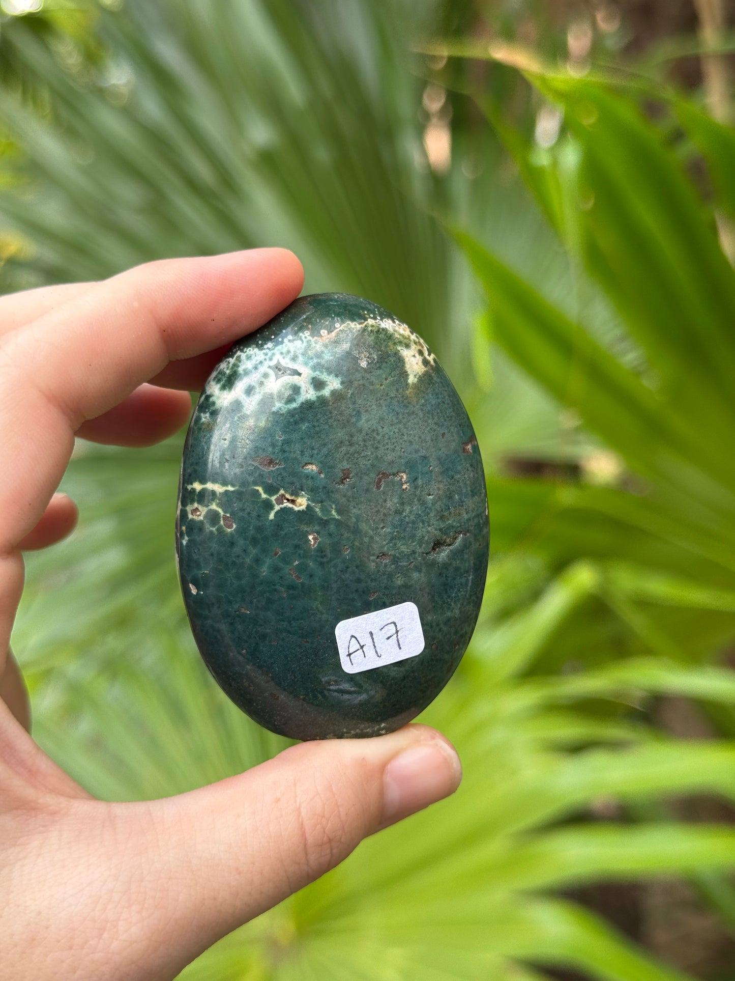 ocean jasper palmstone A