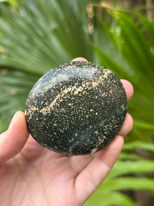 ocean jasper palmstone F