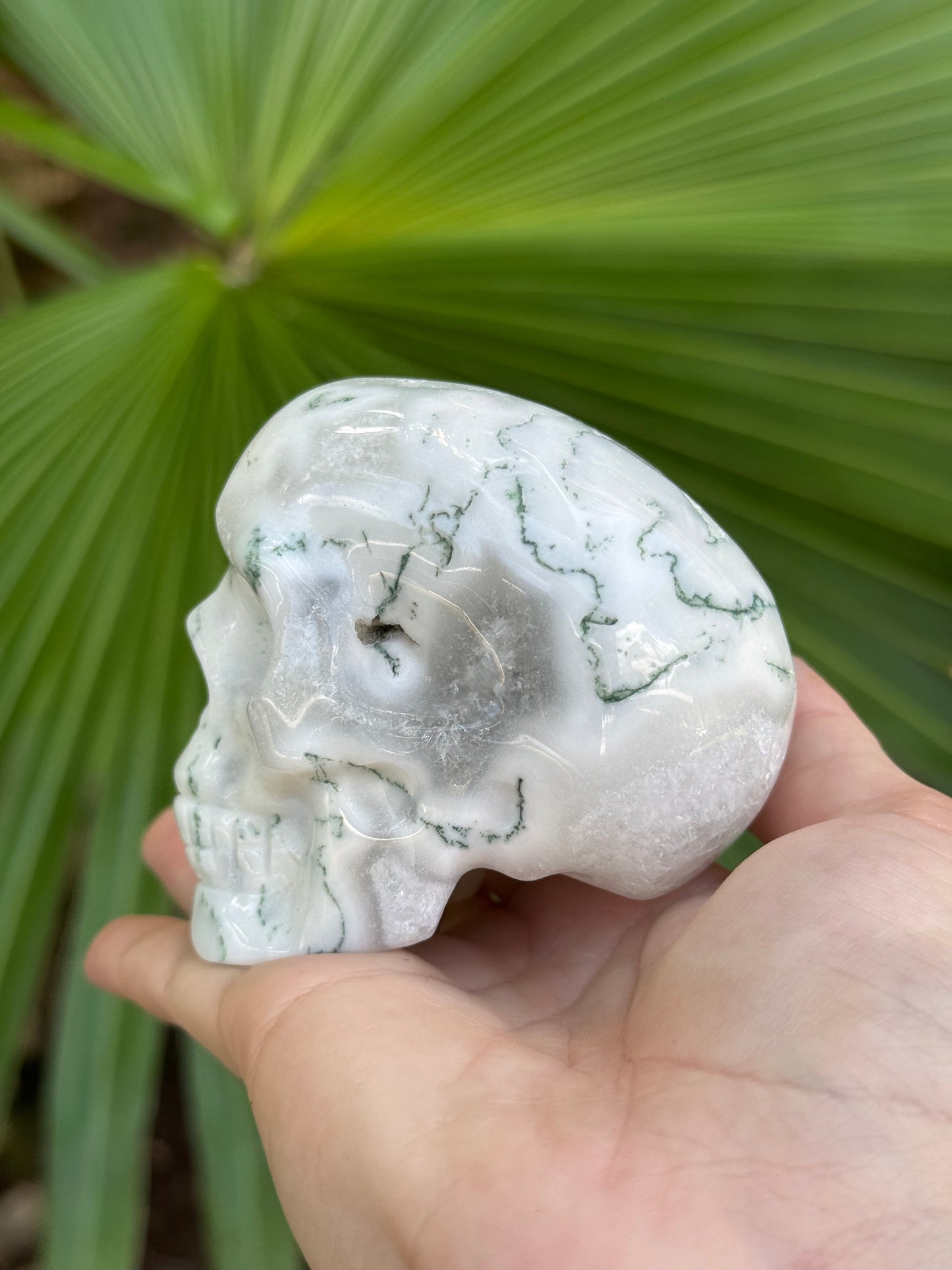 moss agate skull A
