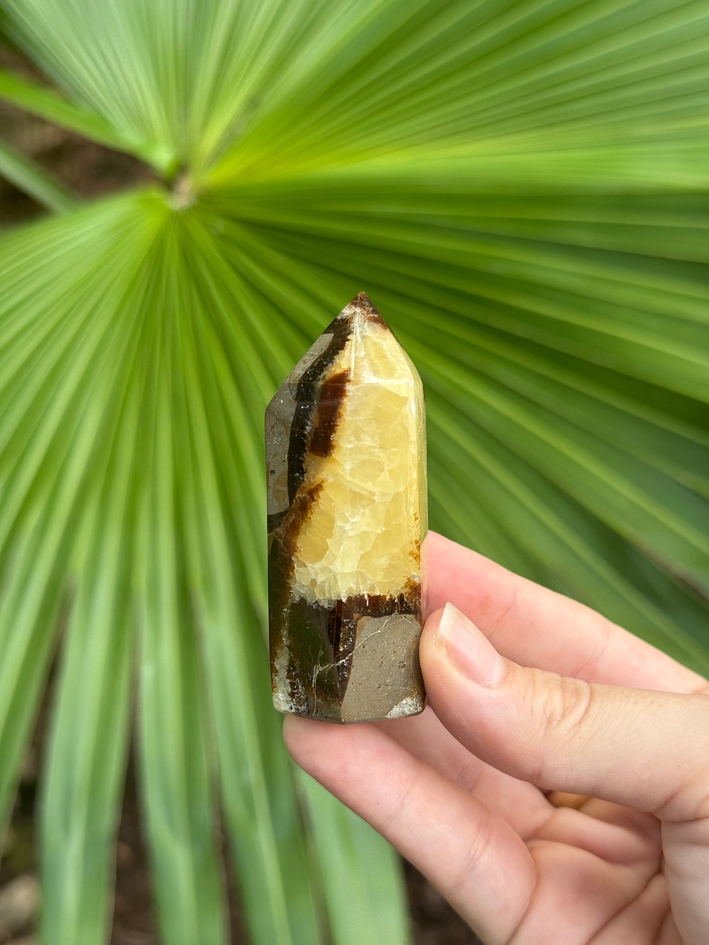 septarian tower H (uv reactive)