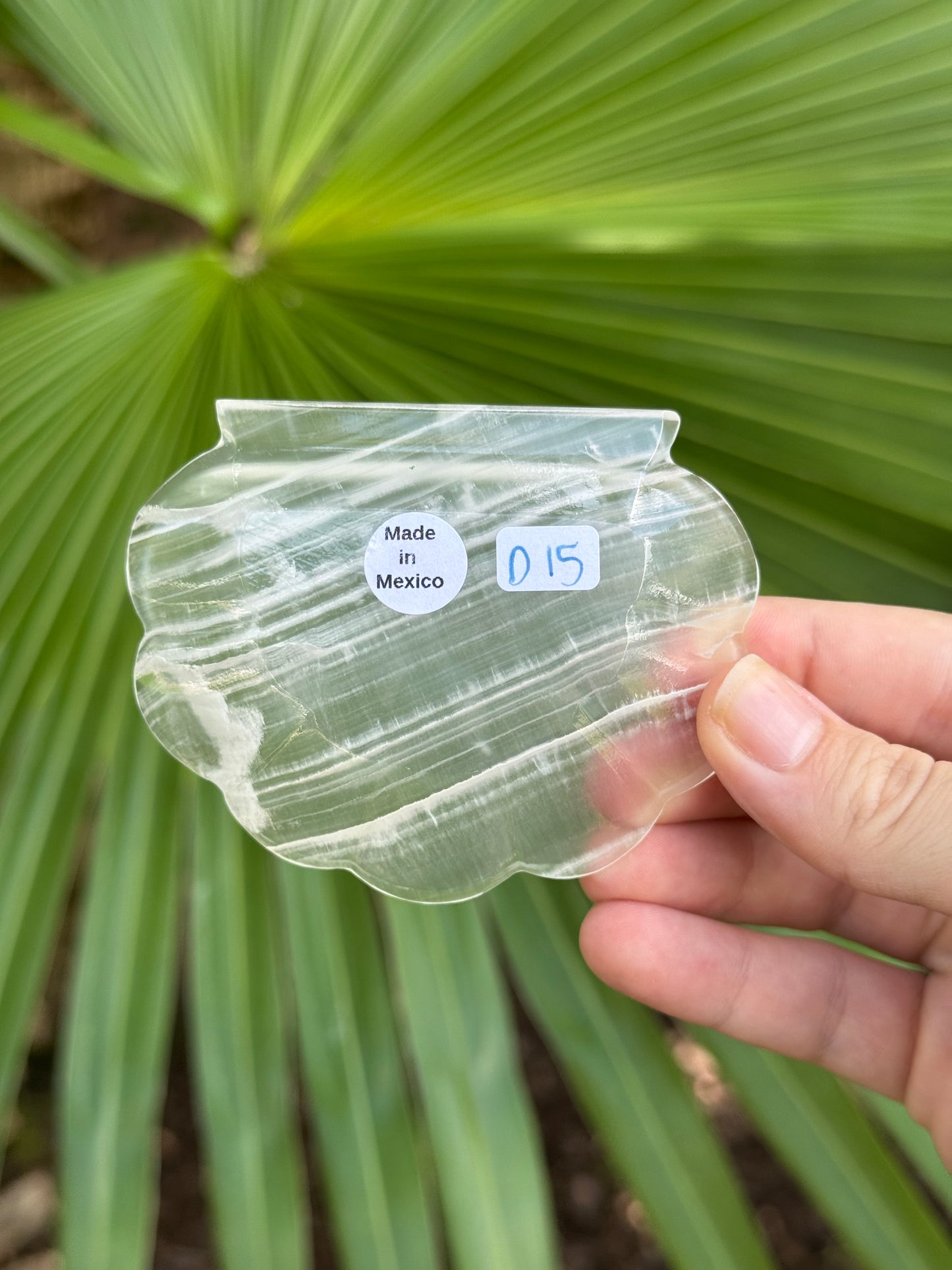 shell trinket dish D