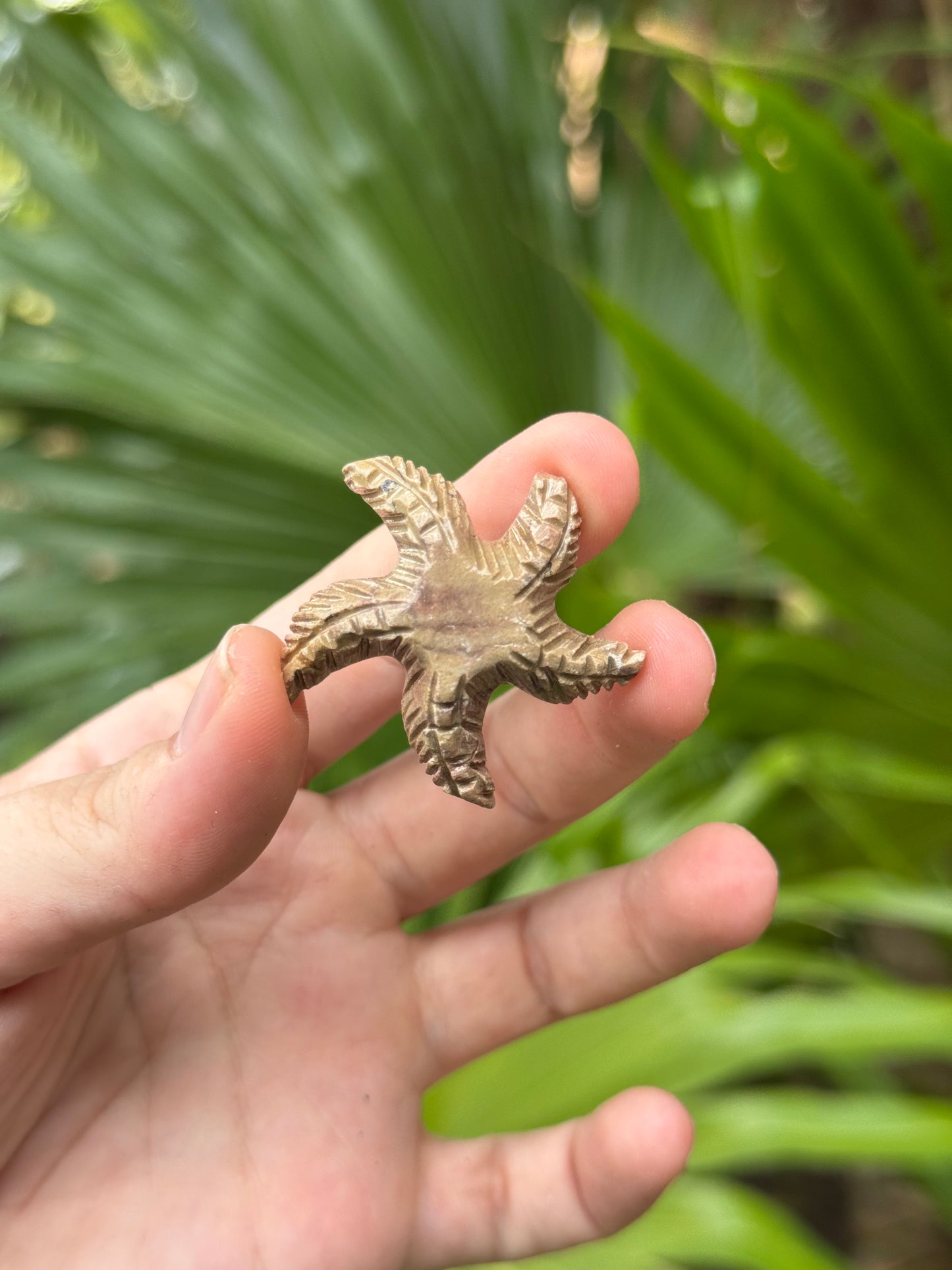 soapstone starfish carvings
