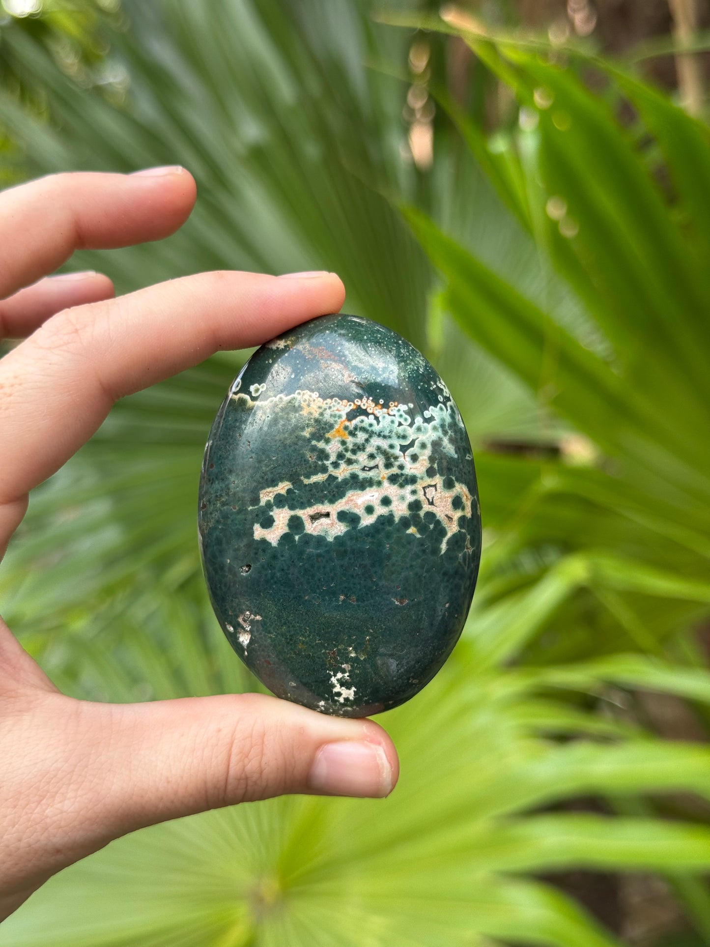 ocean jasper palmstone A