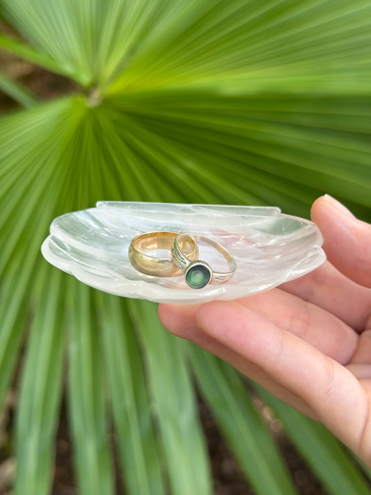 shell trinket dish D