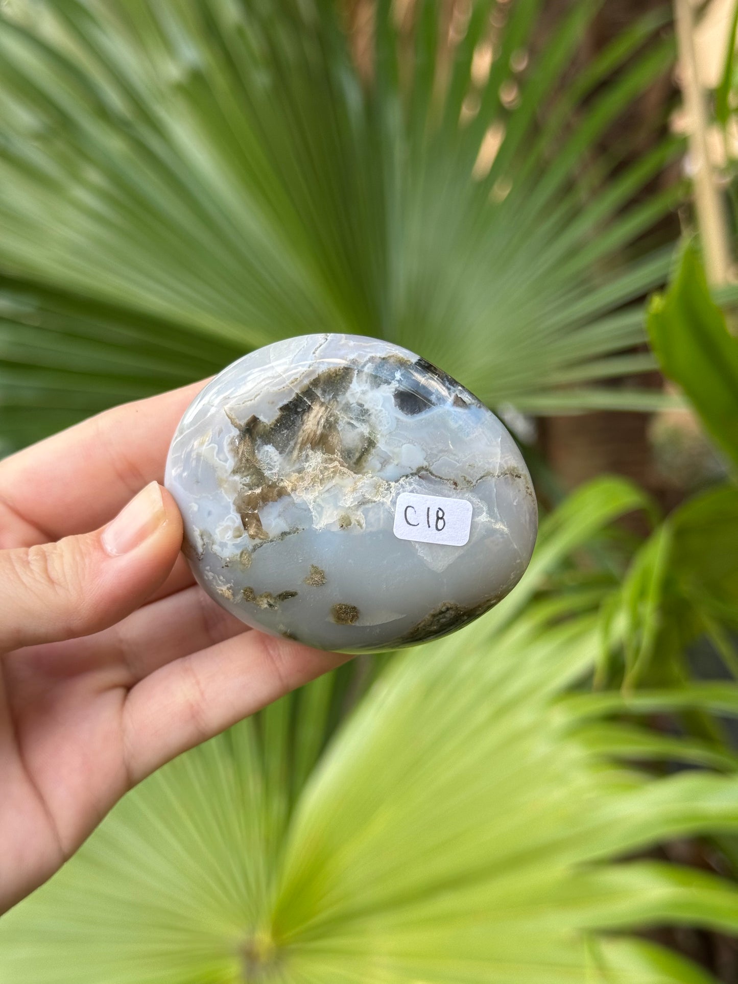 moss agate palmstone C