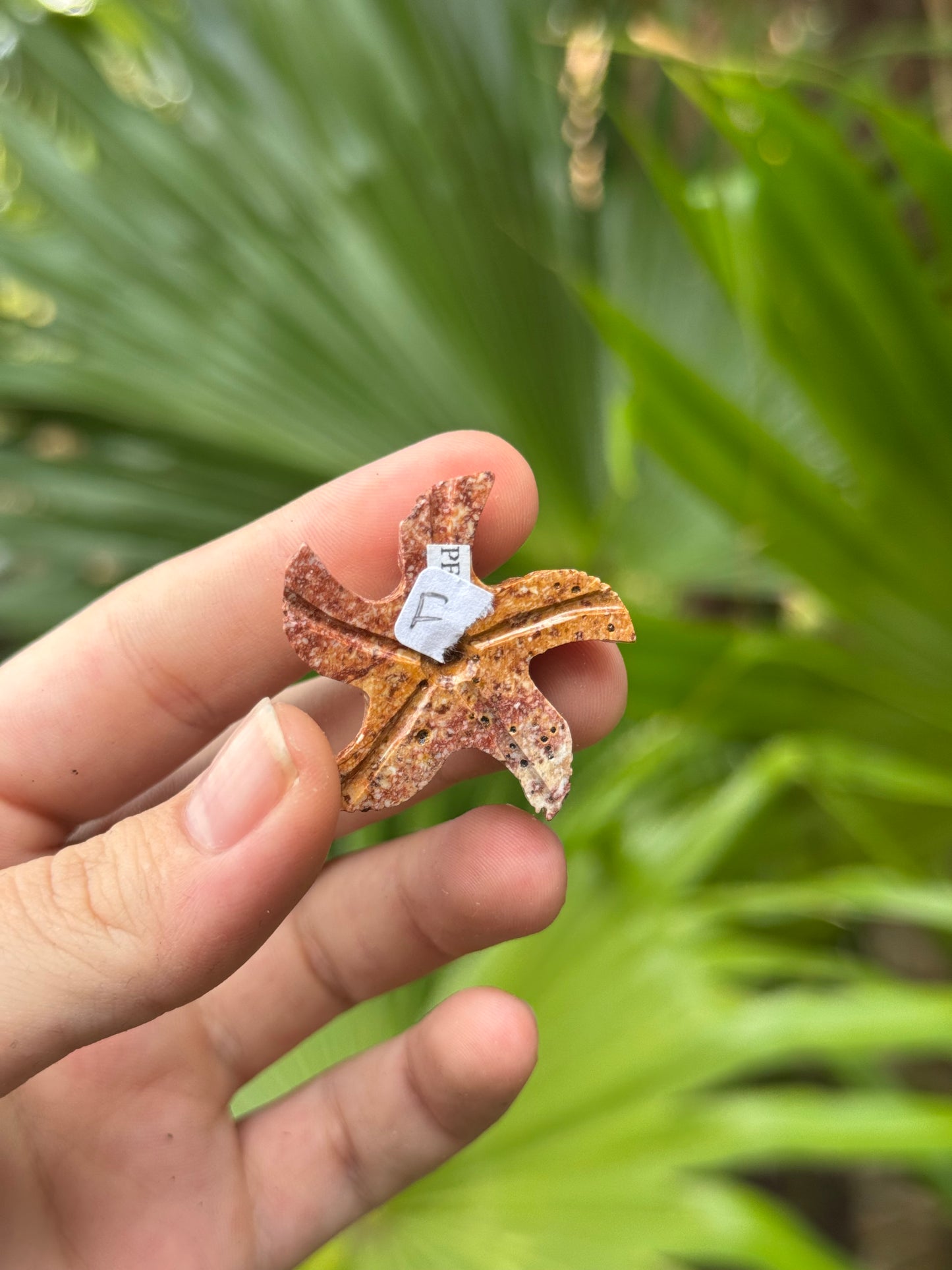 soapstone starfish carvings