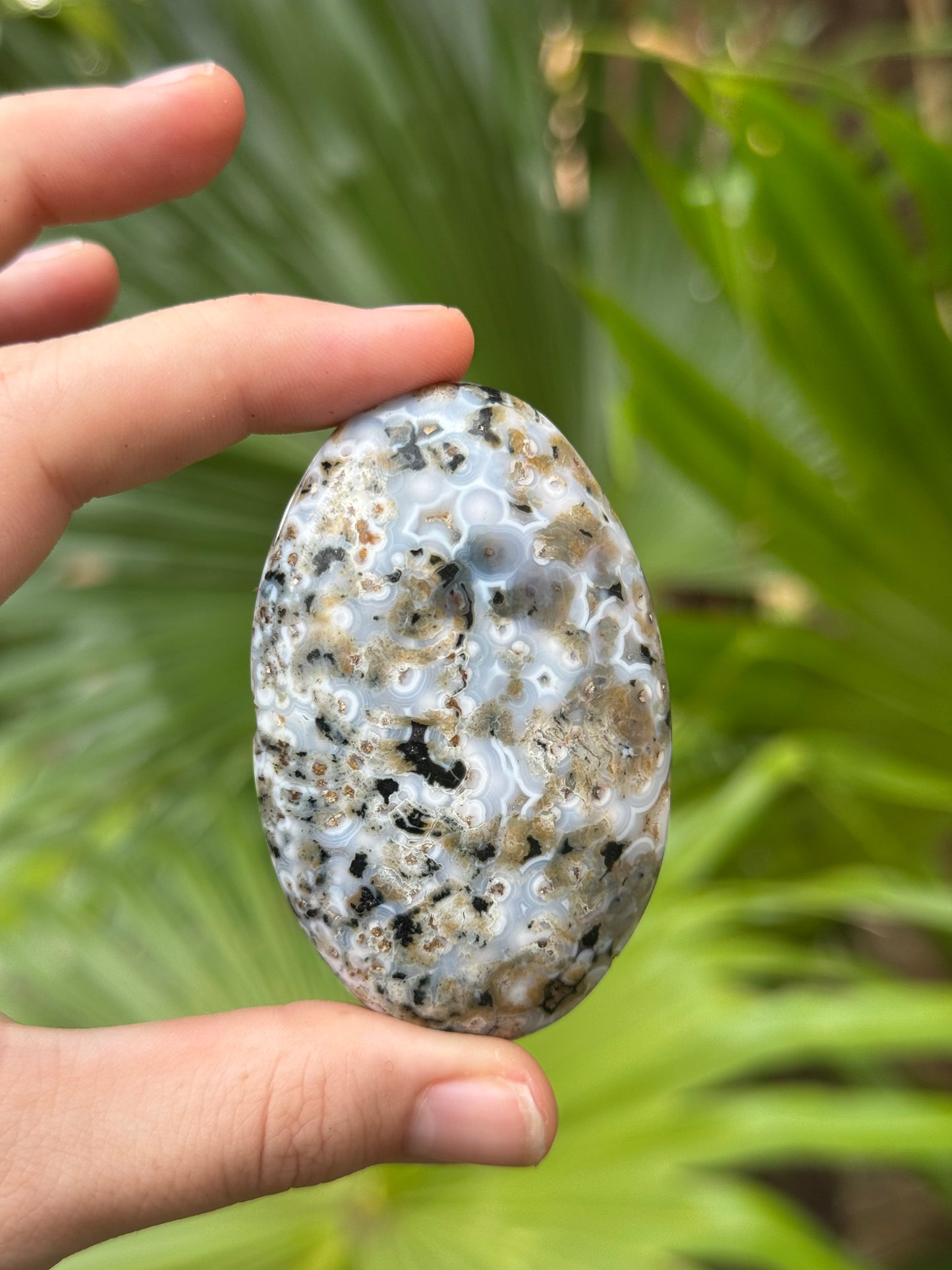 ocean jasper palmstone E
