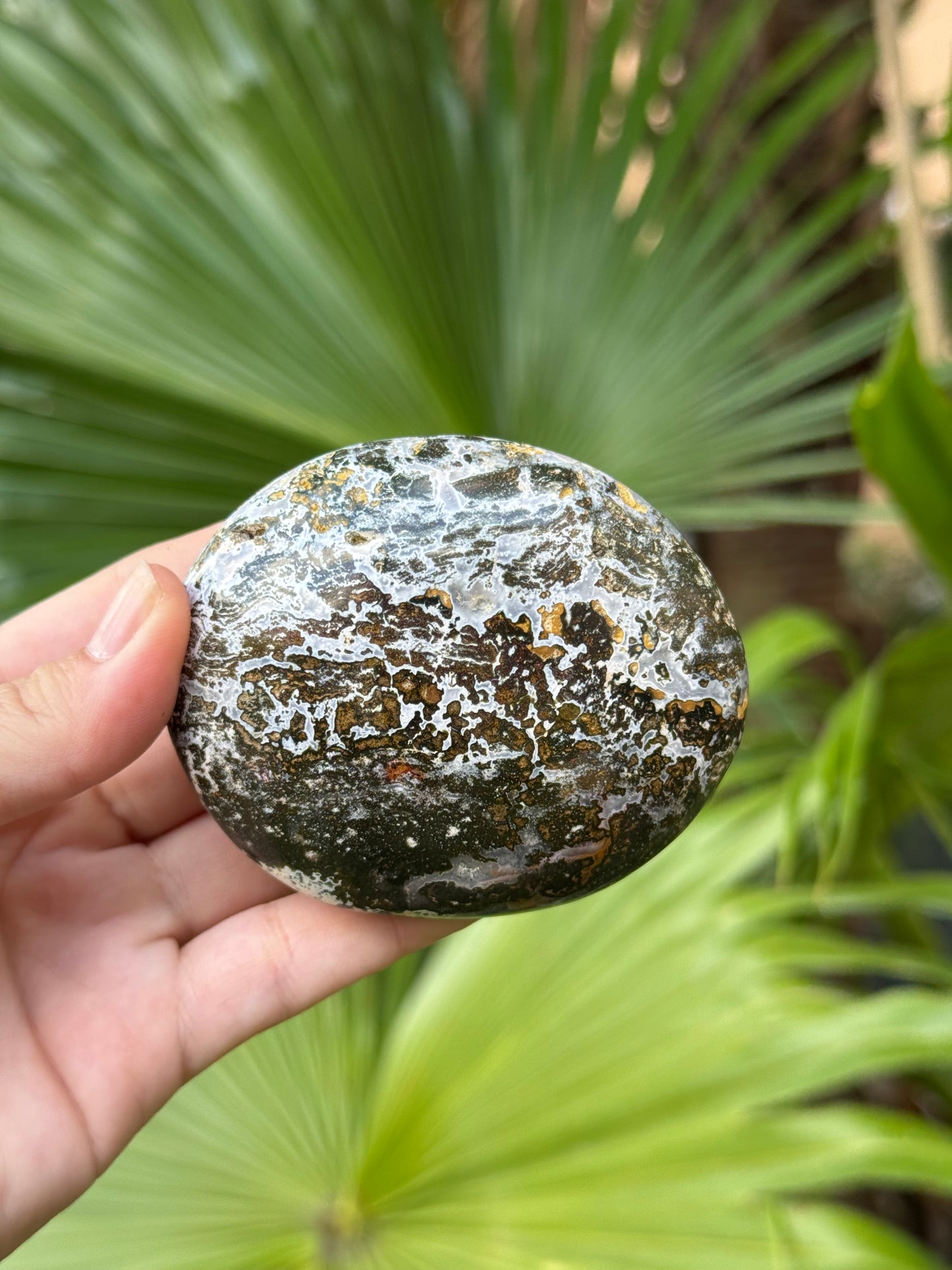 ocean jasper palmstone D