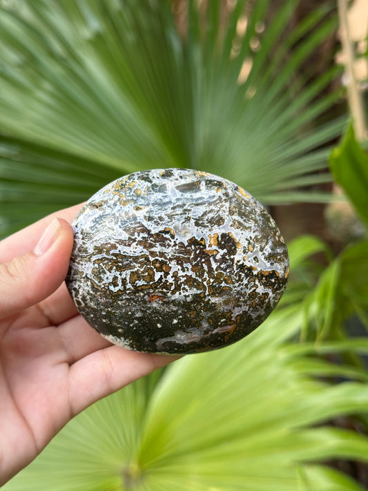 ocean jasper palmstone D