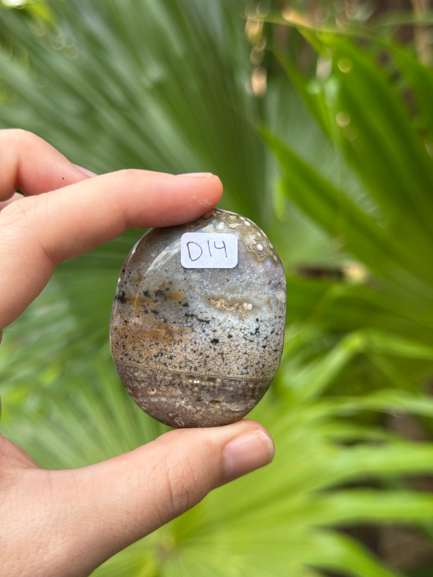 ocean jasper palmstone B