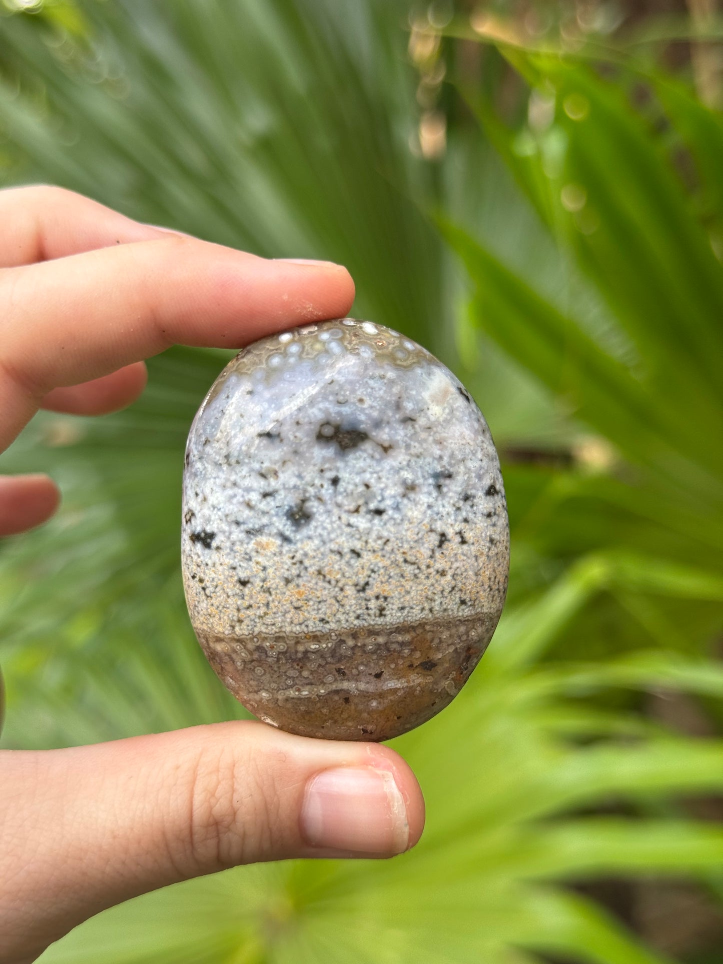 ocean jasper palmstone B