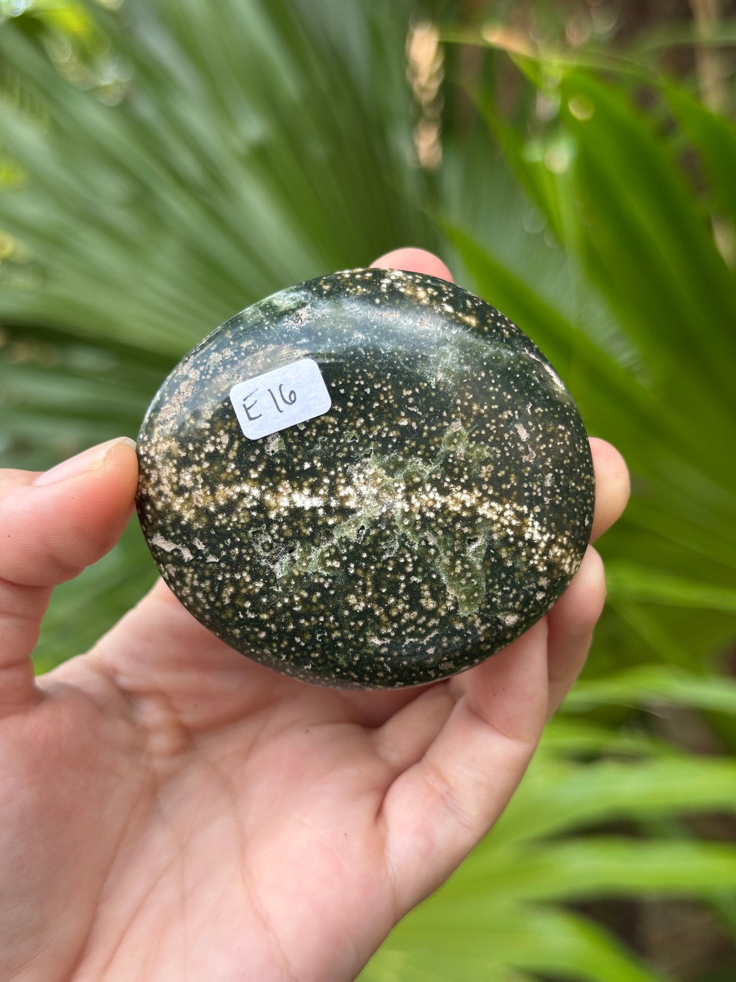 ocean jasper palmstone F