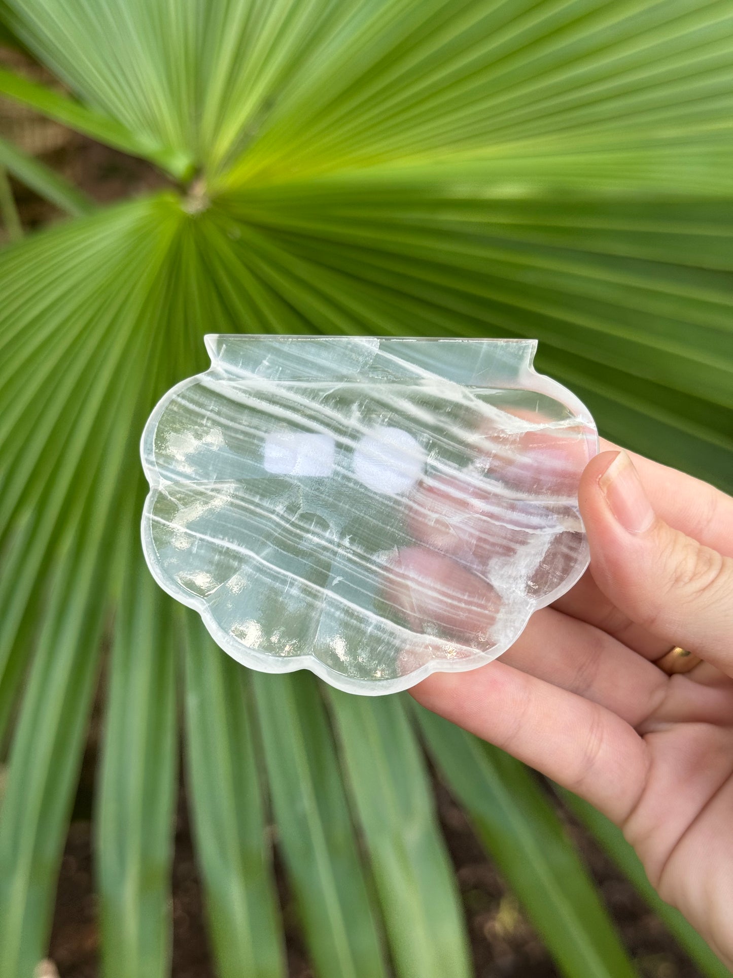 shell trinket dish D