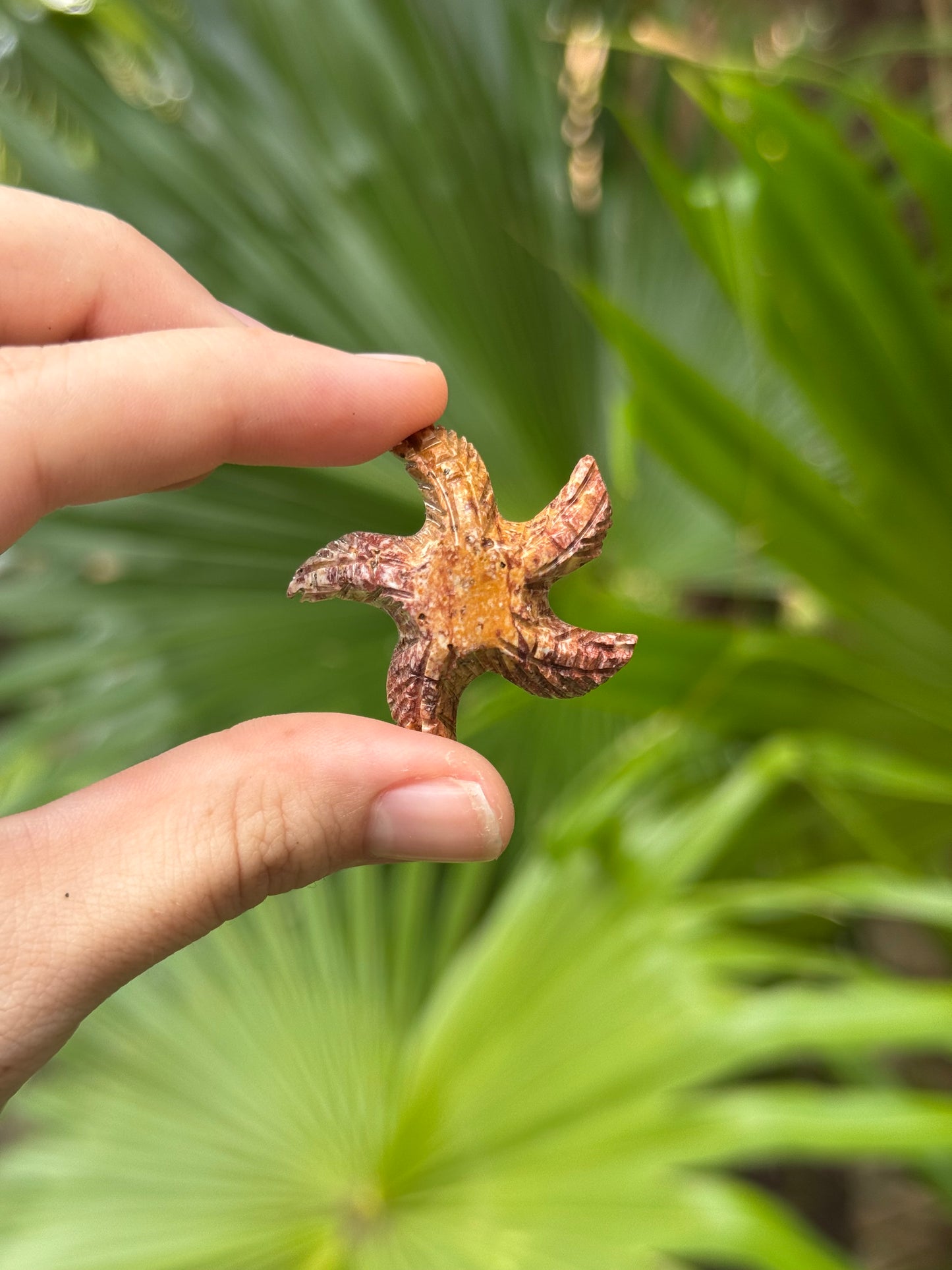 soapstone starfish carvings