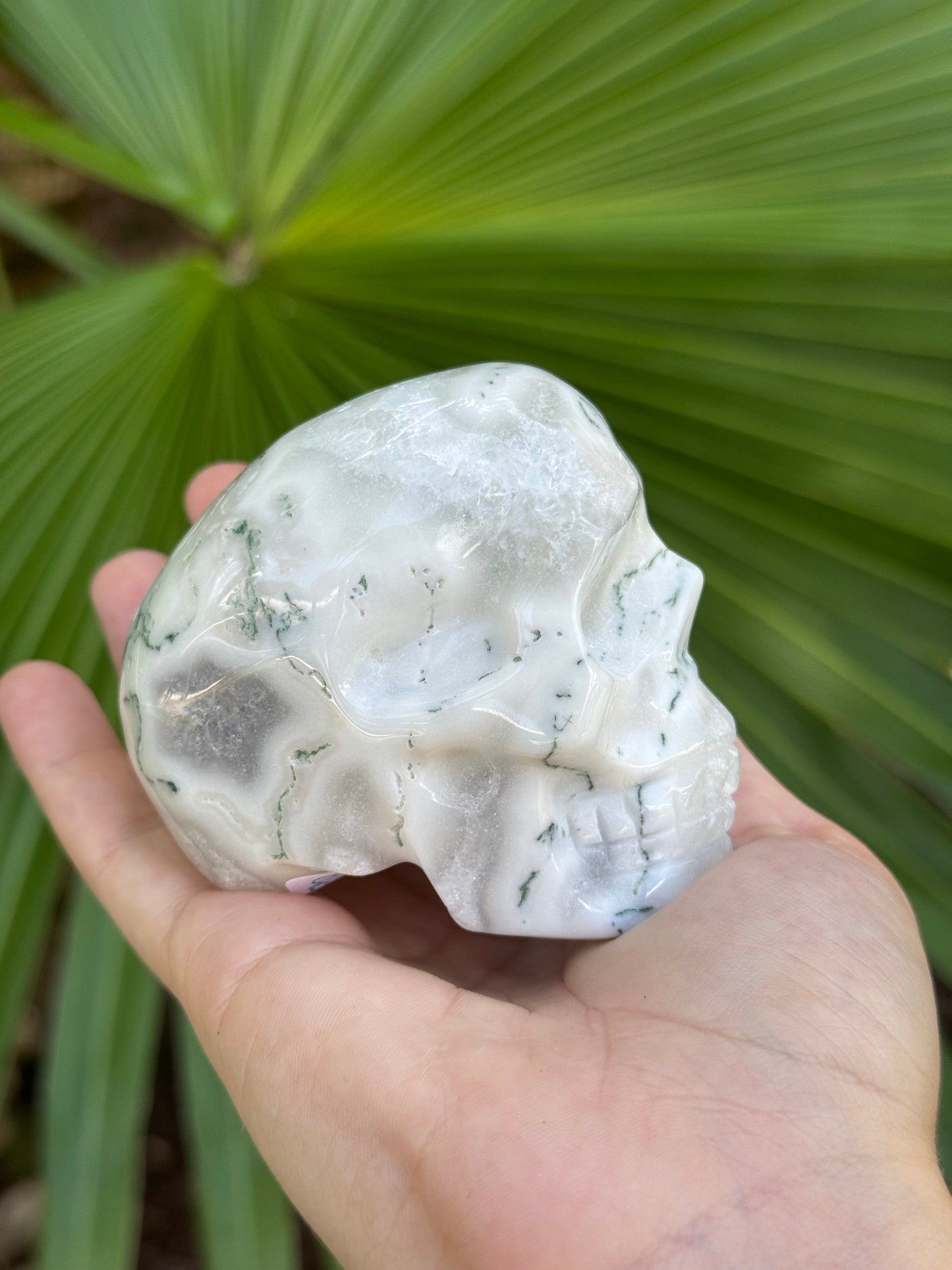 moss agate skull A